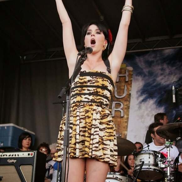 NWT D&G Tiger Print Dress ASO Sharpay Evans & Katy Perry - Picture 5 of 12